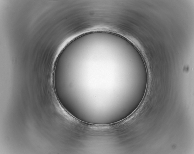 X0000092041296200709120957