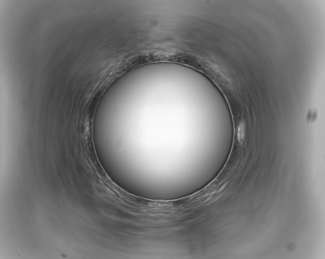 X0000092041299200709120957