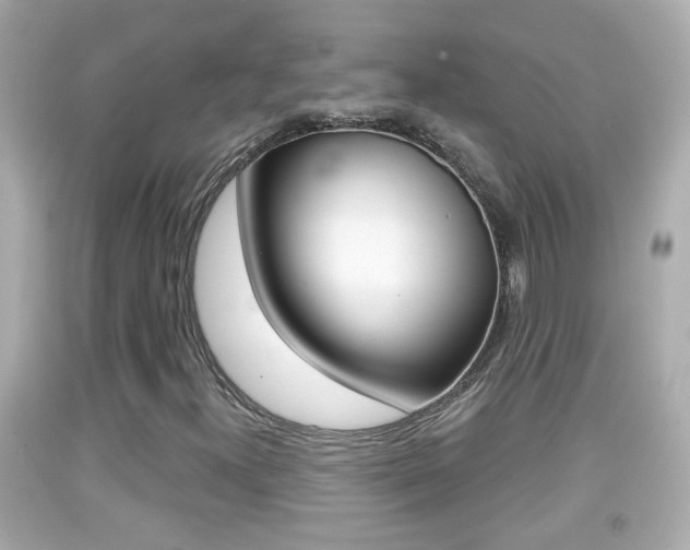 X0000092041300200709120957