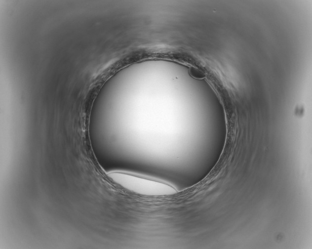 X0000092041301200709120957