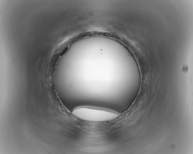 X0000092041303200709120957