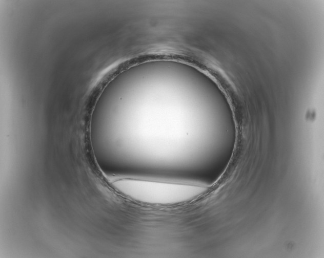 X0000092041304200709120957