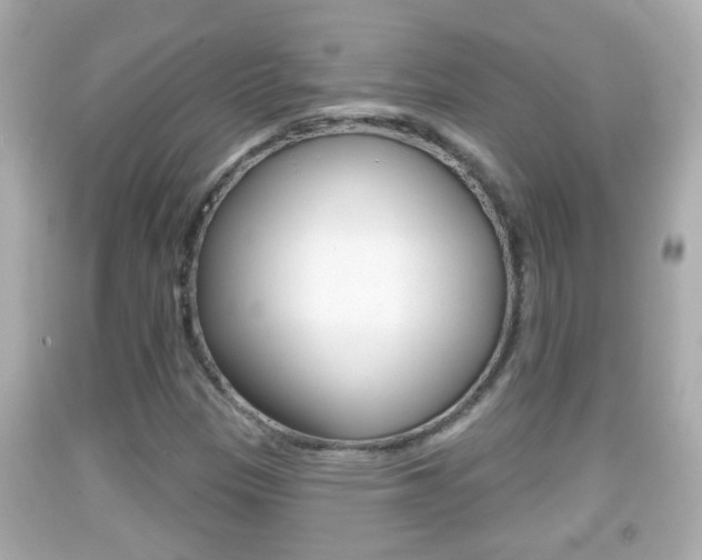 X0000092041305200709120957