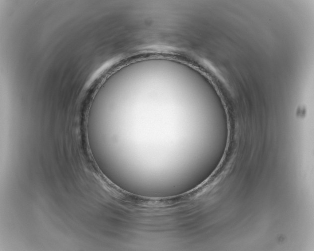 X0000092041307200709120957