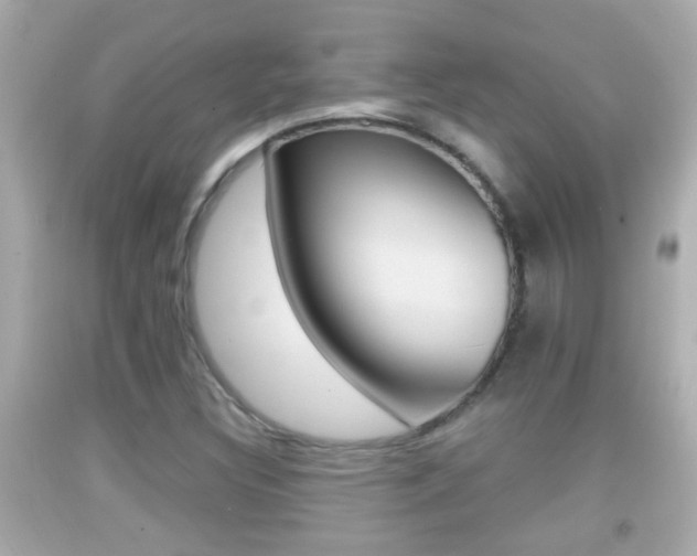 X0000092041308200709120957