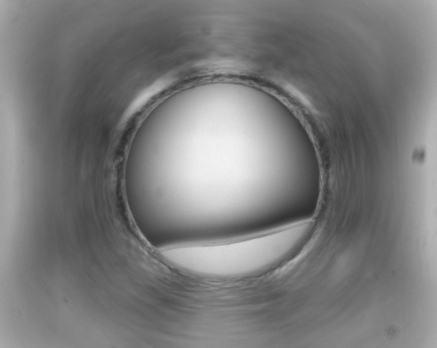 X0000092041309200709120957