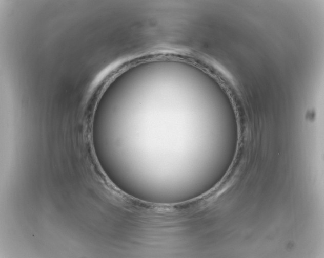 X0000092041310200709120957