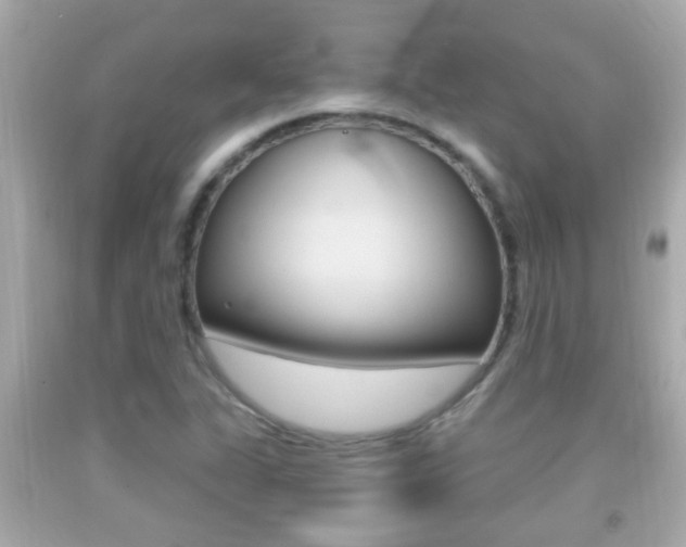 X0000092041311200709120957