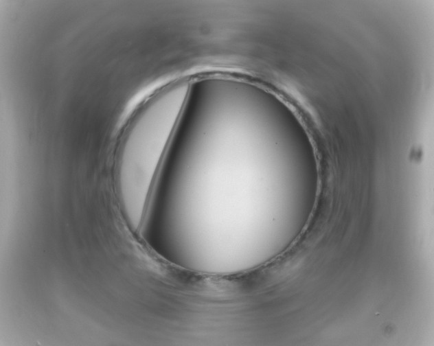 X0000092041312200709120957