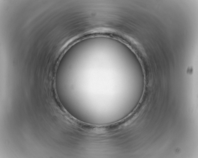 X0000092041313200709120957