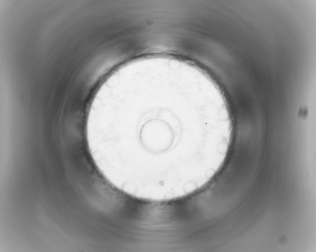 X0000092041314200709120957