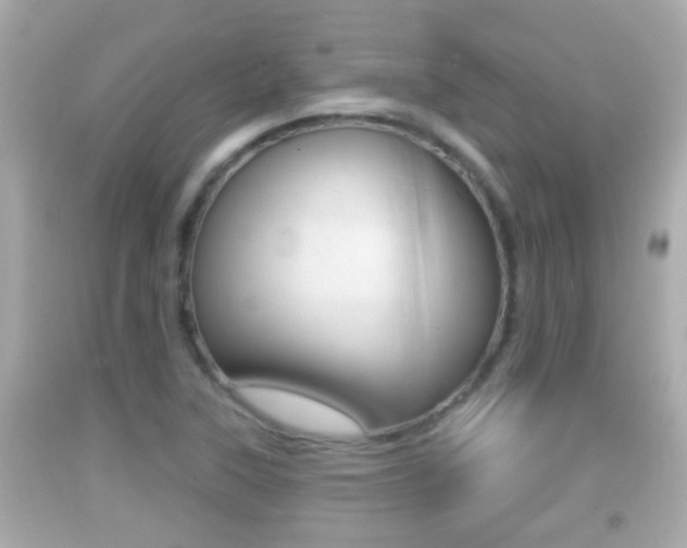 X0000092041315200709120957