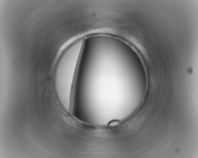 X0000092041316200709120957