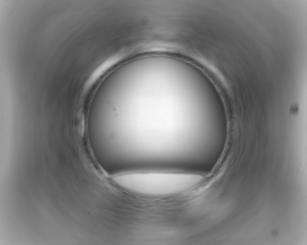 X0000092041317200709120957