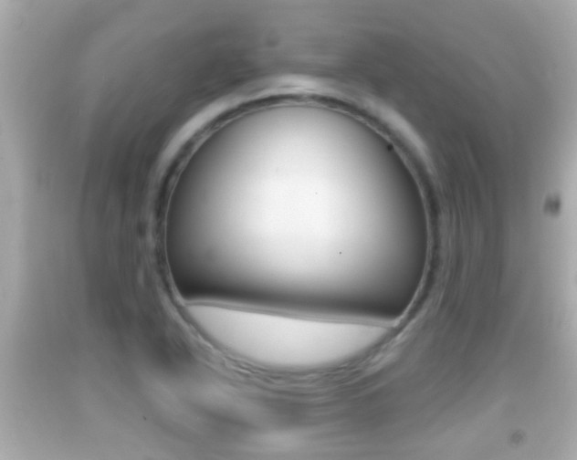 X0000092041318200709120957