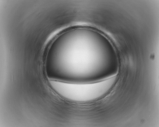 X0000092041319200709120957