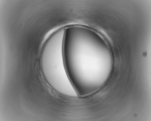 X0000092041320200709120957