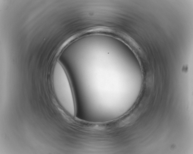 X0000092041321200709120957