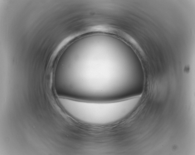 X0000092041323200709120957