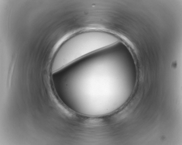 X0000092041325200709120957
