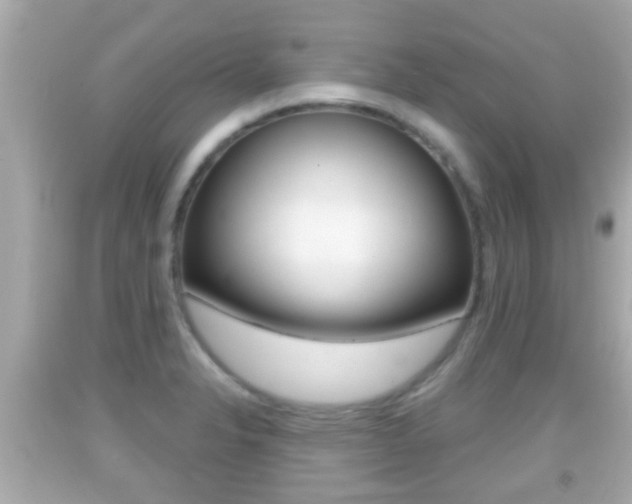 X0000092041326200709120957