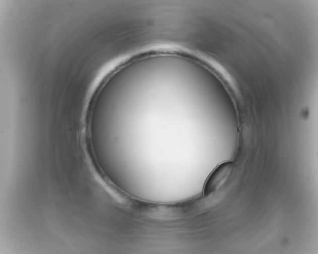 X0000092041327200709120957