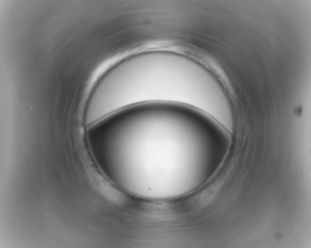 X0000092041328200709120957