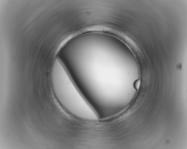 X0000092041329200709120957