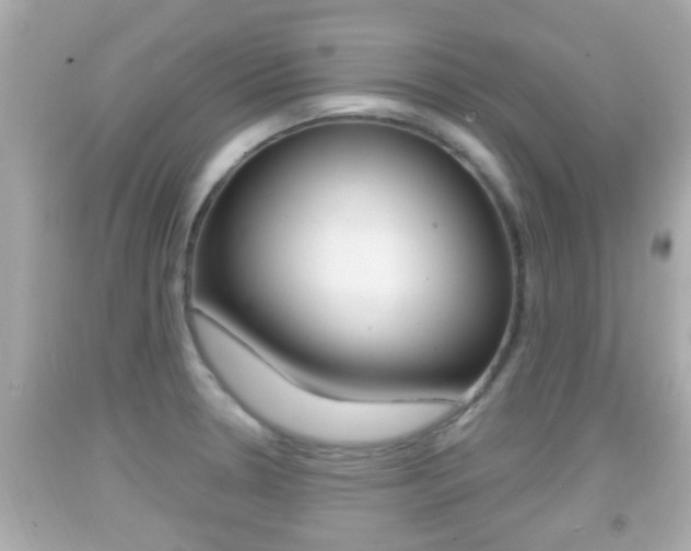 X0000092041330200709120957