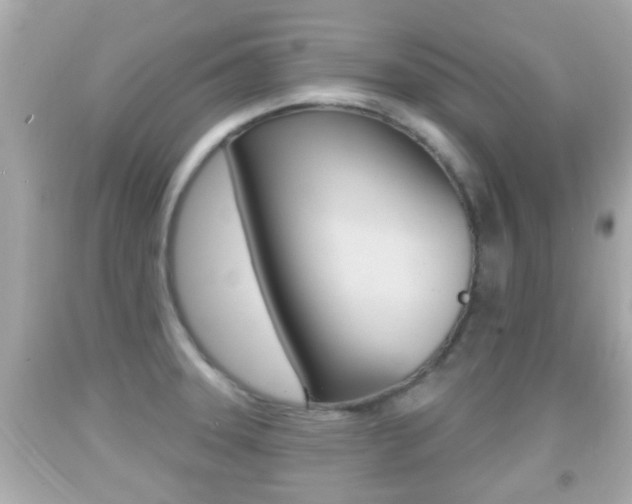 X0000092041331200709120957