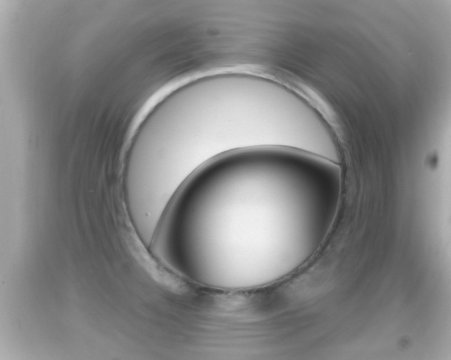 X0000092041332200709120957