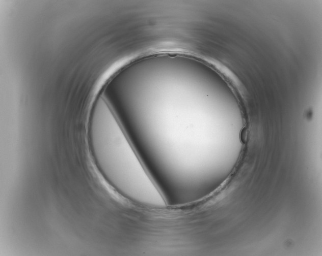 X0000092041333200709120957