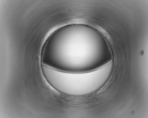 X0000092041334200709120957