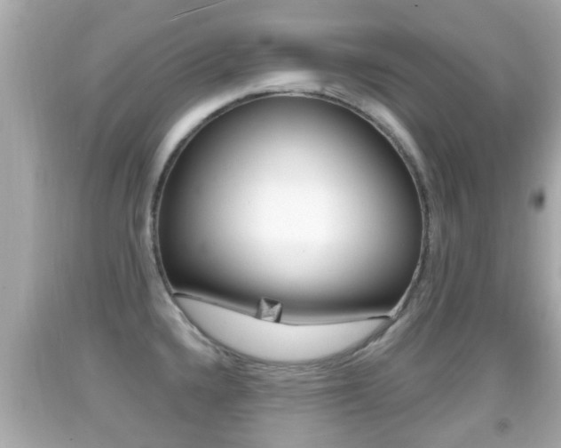 X0000092041336200709120957