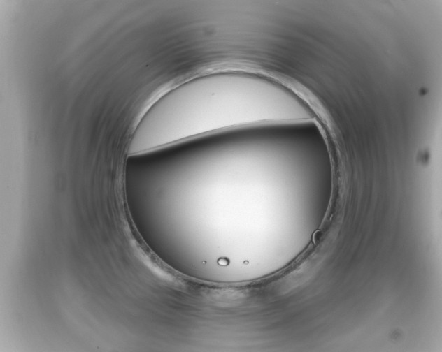 X0000092041337200709120957