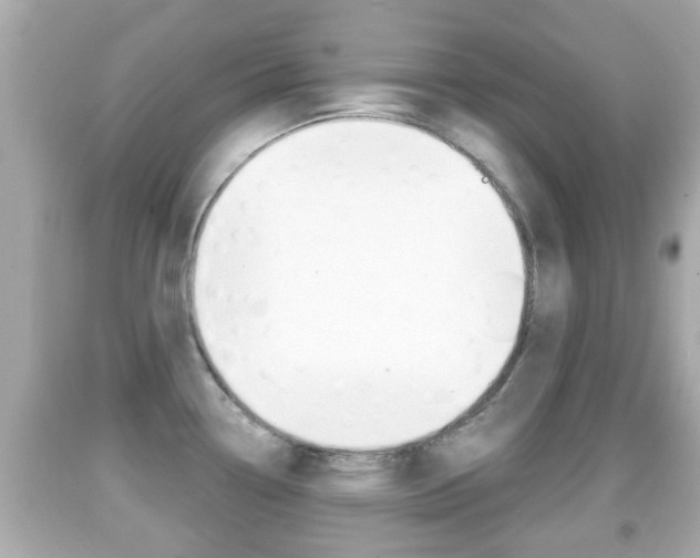X0000092041338200709120957