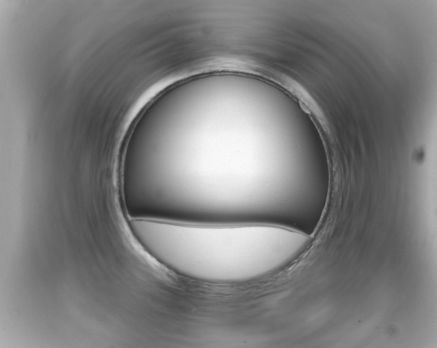 X0000092041339200709120957