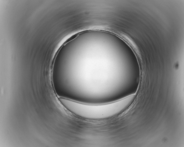 X0000092041340200709120957