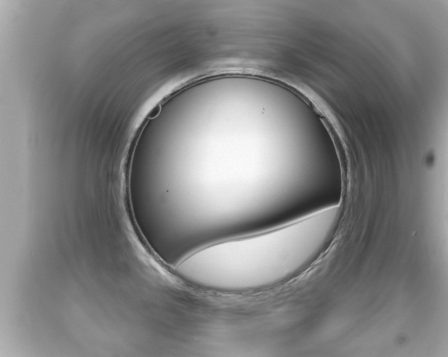 X0000092041341200709120957