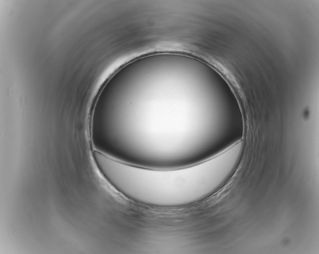 X0000092041342200709120957