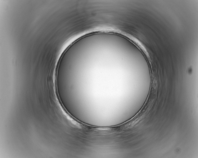X0000092041343200709120957