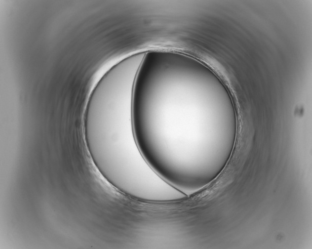 X0000092041344200709120957