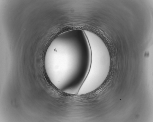 X0000092041345200709120957