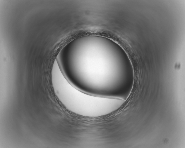 X0000092041349200709120957
