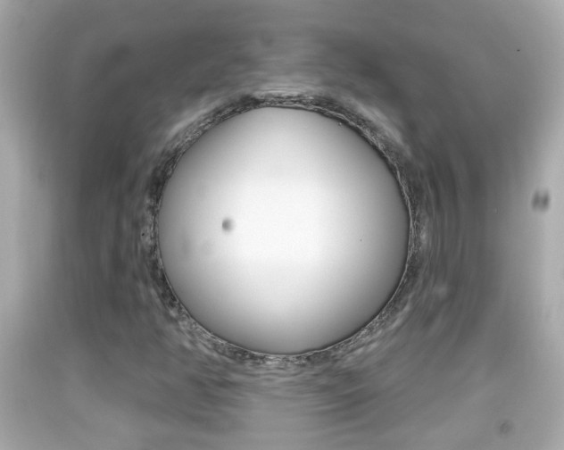 X0000092041350200709120957