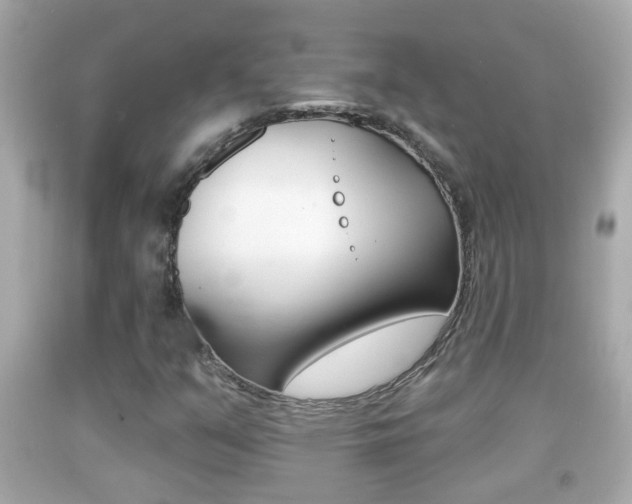 X0000092041351200709120957