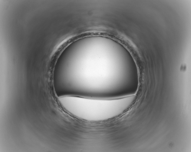 X0000092041352200709120957