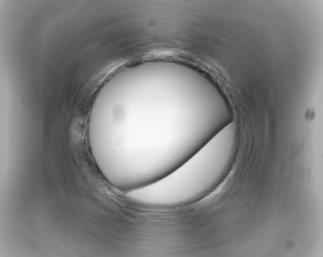 X0000092041353200709120957