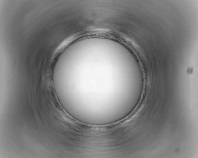 X0000092041354200709120957