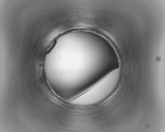 X0000092041355200709120957
